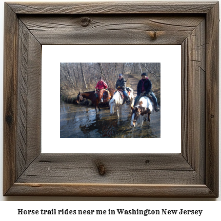 horse trail rides near me in Washington, New Jersey
